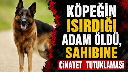 Köpeğin ısırdığı adam öldü, sahibine cinayet  tutuklaması