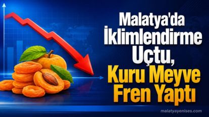 Malatya'da İklimlendirme Uçtu, Kuru Meyve Fren Yaptı