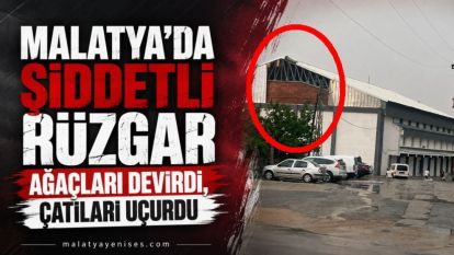 Malatya'da Şiddetli Rüzgar Ağaçları Devirdi, Çatıları Uçurdu