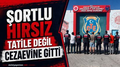 Şortlu hırsız tatile değil cezaevine gitti 