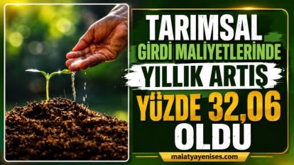 Tarımsal girdi maliyetlerinde yıllık artış yüzde 32,06 oldu
