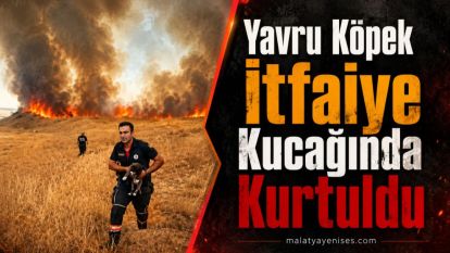 Yavru Köpek İtfaiye Kucağında Kurtuldu