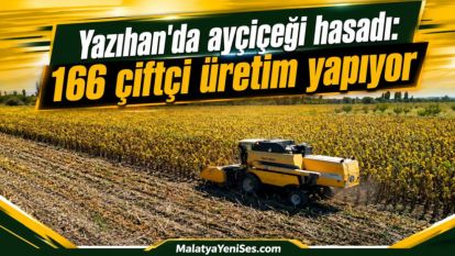 Yazıhan'da ayçiçeği hasadı: 166 çiftçi üretim yapıyor