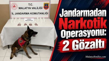 Jandarmadan Narkotik Operasyonu: 2 Gözaltı 