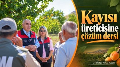 Kayısı üreticisine çözüm dersi