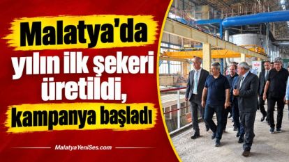 Malatya'da yılın ilk şekeri üretildi, kampanya başladı