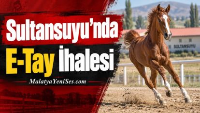 Sultansuyu'nda E-Tay İhalesi