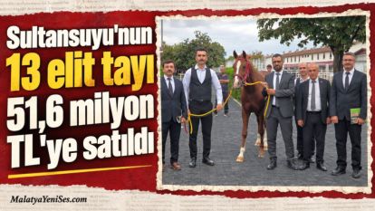 Sultansuyu'nun 13 elit tayı 51,6 milyon TL'ye satıldı