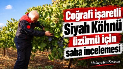 Coğrafi işaretli Siyah Köhnü üzümü için saha incelemesi