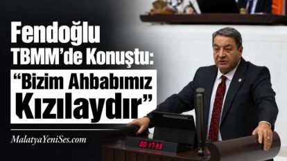 Fendoğlu  TBMM'de Konuştu: "Bizim Ahbabımız Kızılaydır"