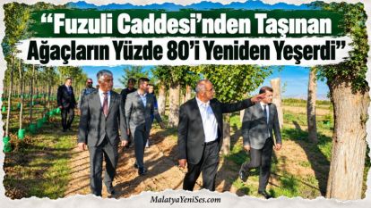 "Fuzuli Caddesi'nden Taşınan Ağaçların Yüzde 80'i Yeniden Yeşerdi"