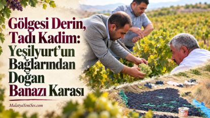 Gölgesi Derin, Tadı Kadim: Yeşilyurt'un Bağlarından Doğan Banazı Karası