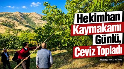 Hekimhan Kaymakamı Günlü, Ceviz Topladı