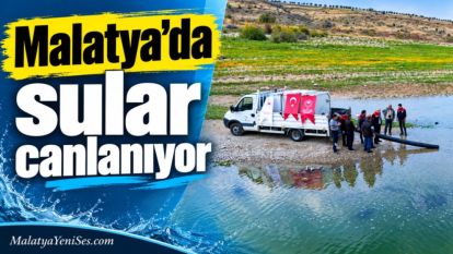 Malatya'da sular canlanıyor