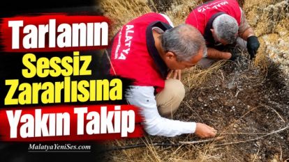 Tarlanın Sessiz Zararlısına Yakın Takip